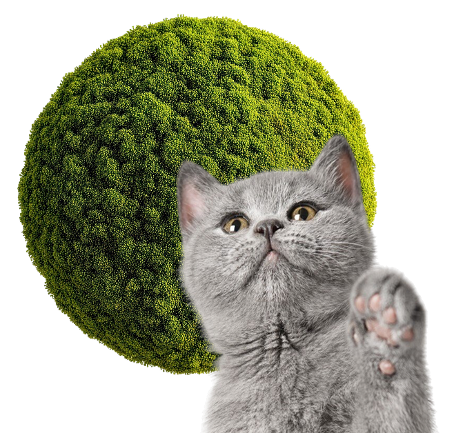 Kontakt Öko Katzenstreu